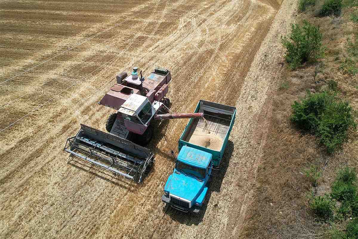 Посівна після деокупації Благодатівки